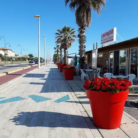 Apartamento La Conchiglia Porto SantʼElpidio Exterior foto